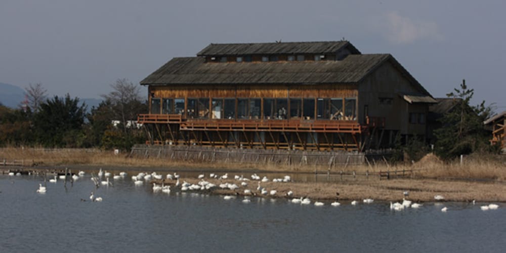 米子水鳥公園