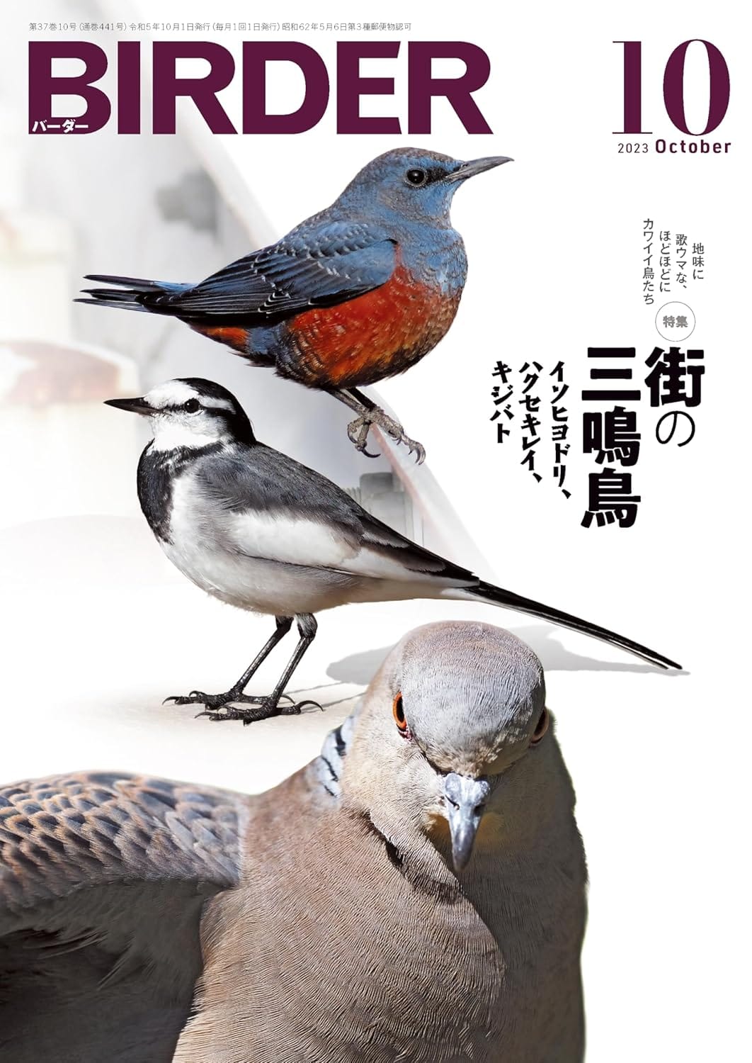 BIRDER(バーダー) 2023年10月号