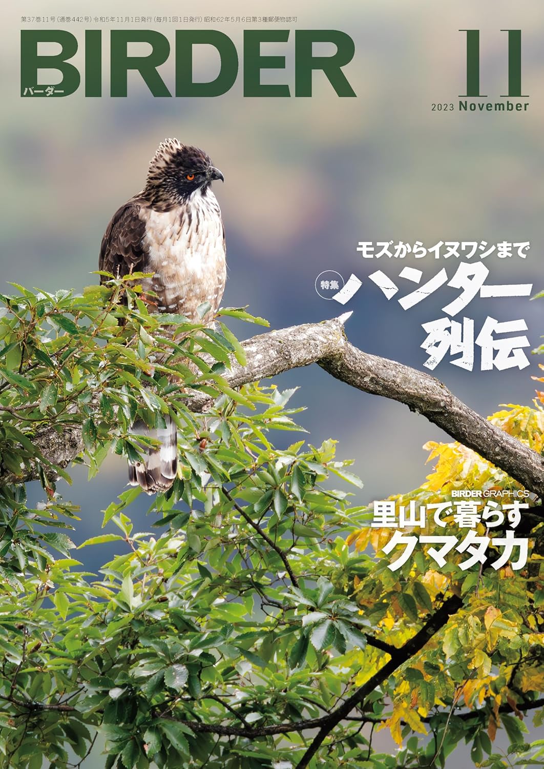 BIRDER(バーダー) 2023年11月号
