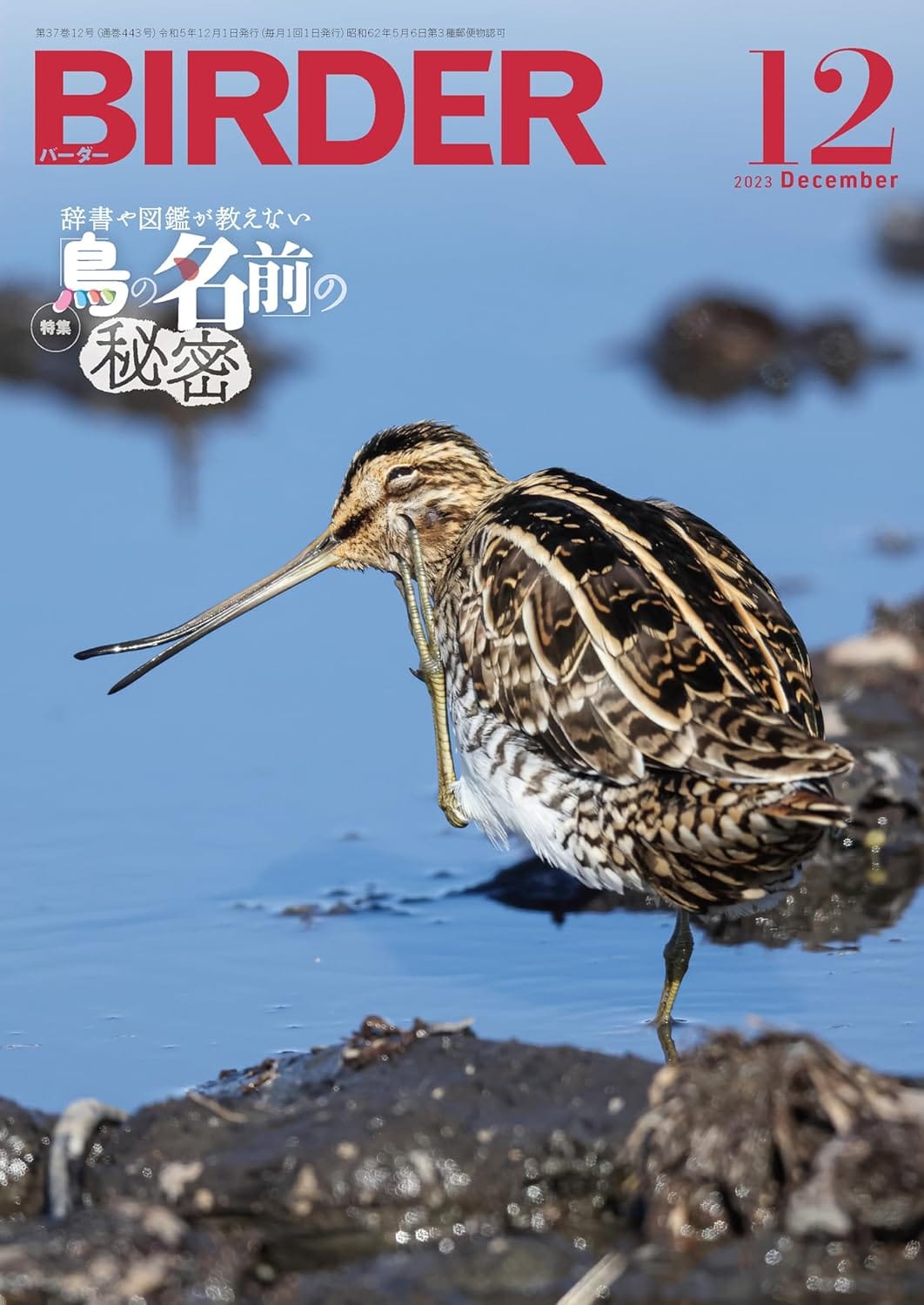 BIRDER(バーダー) 2023年12月号
