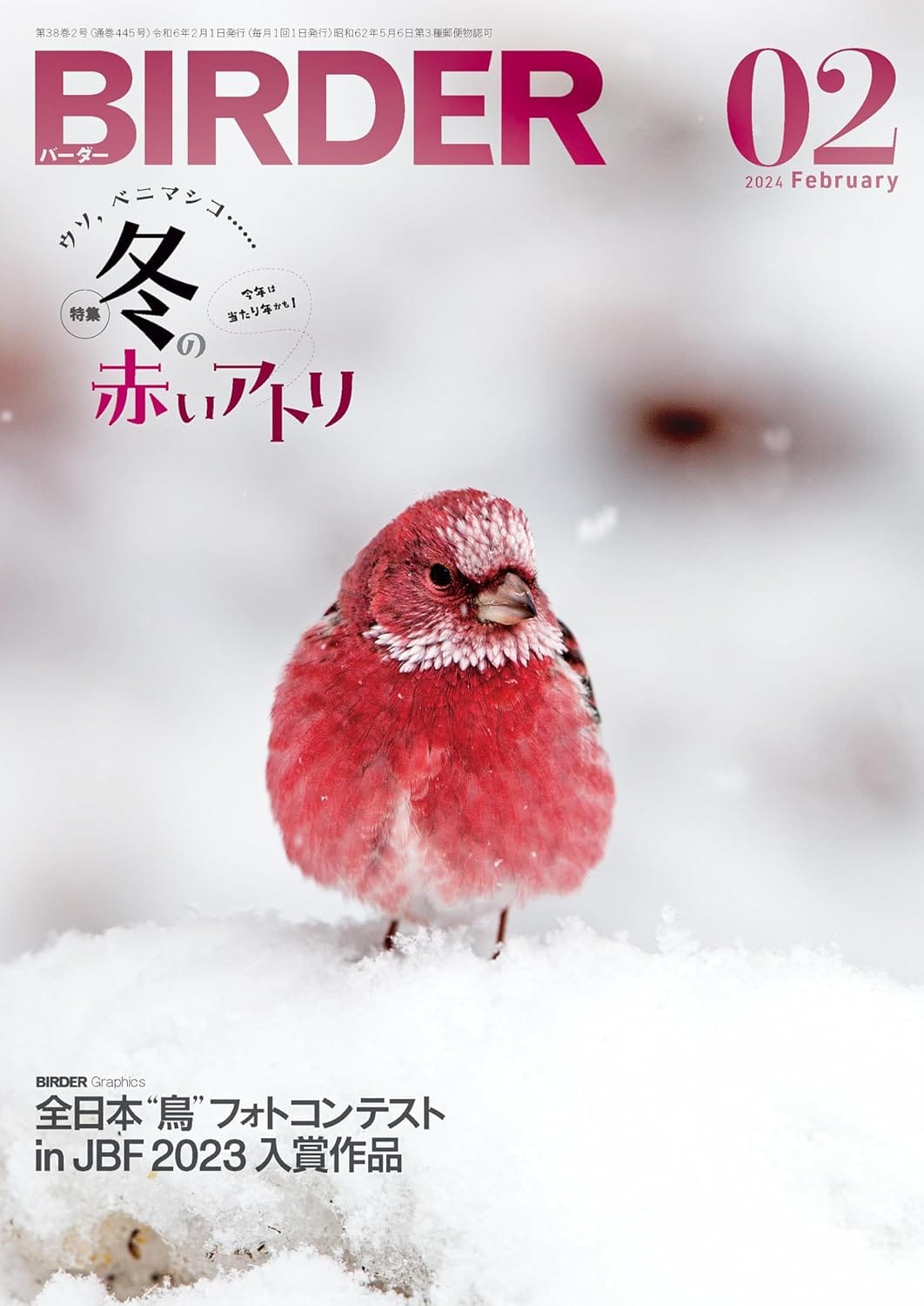 BIRDER(バーダー) 2024年2月号