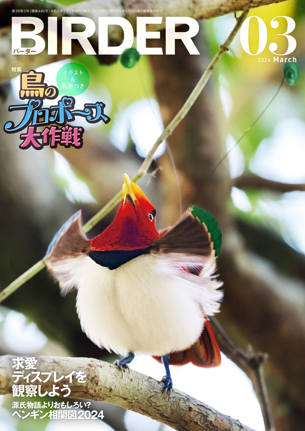 BIRDER(バーダー) 2024年3月号
