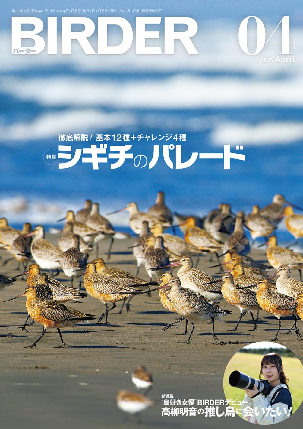 BIRDER(バーダー) 2024年4月号