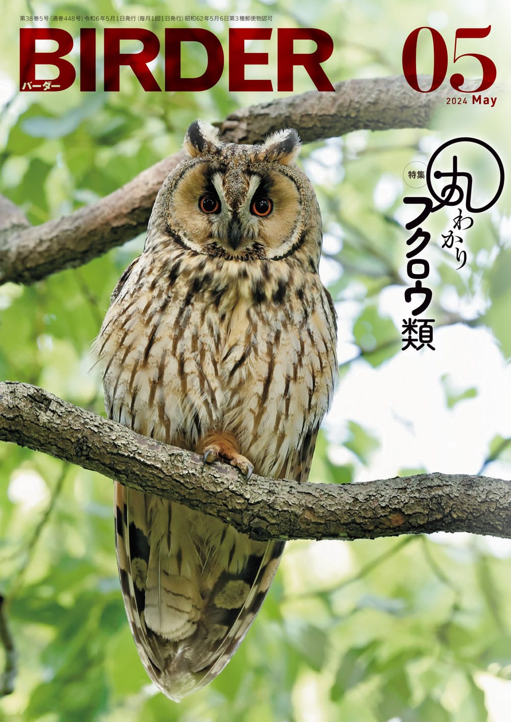 BIRDER(バーダー) 2024年5月号