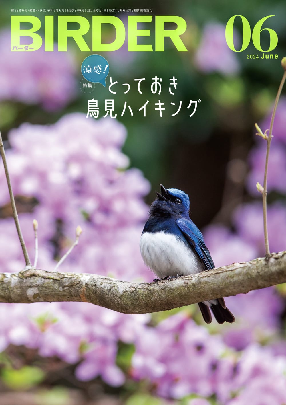 BIRDER(バーダー) 2024年6月号