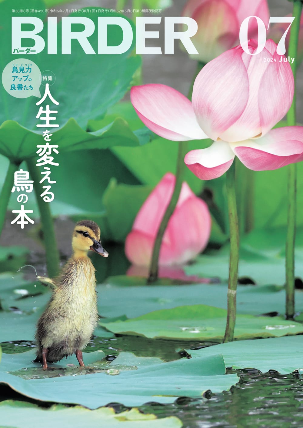 BIRDER（バーダー） 2024年7月号