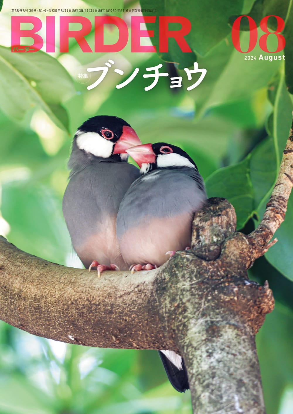 BIRDER（バーダー） 2024年8月号