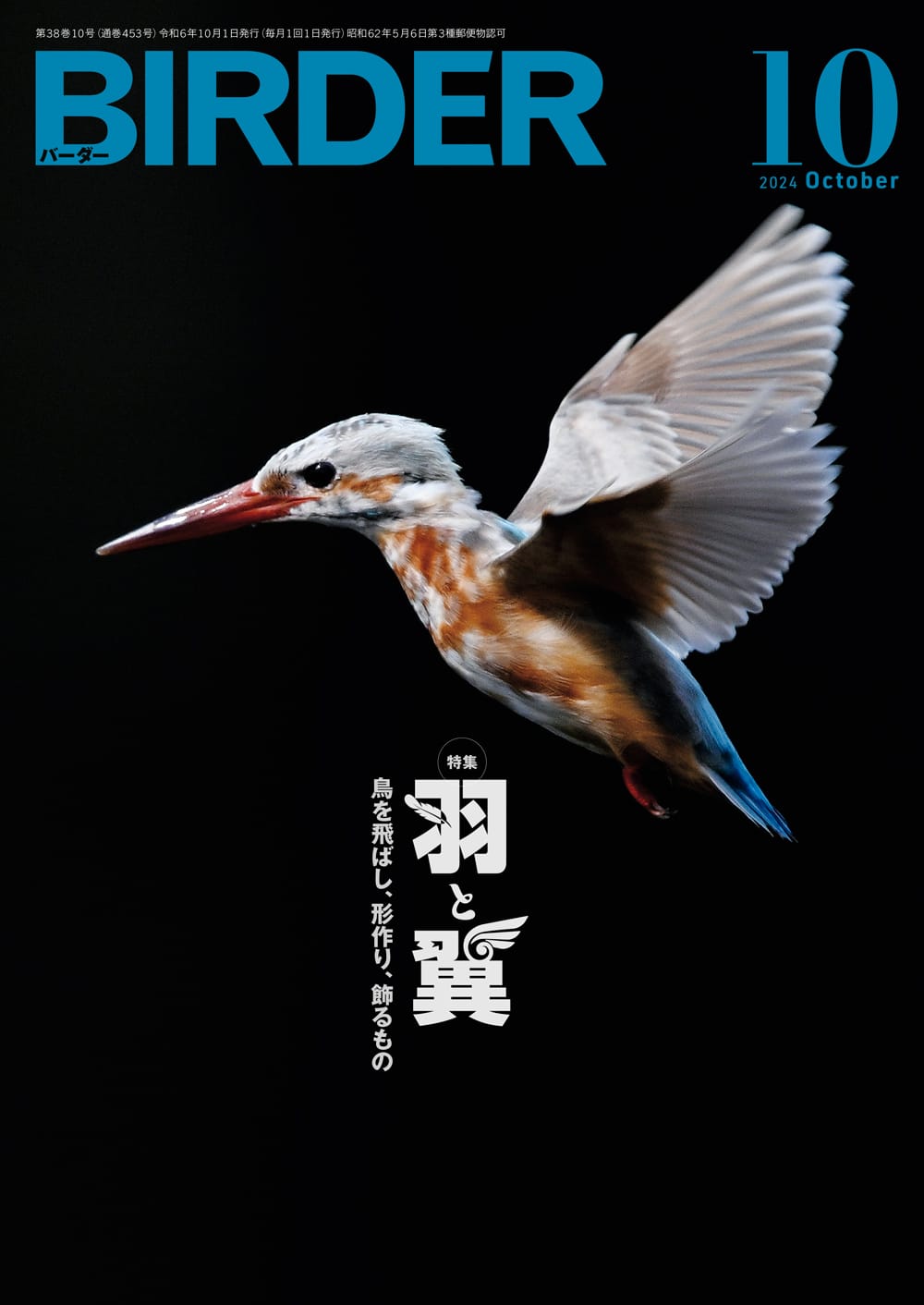 BIRDER(バーダー) 2024年10月号
