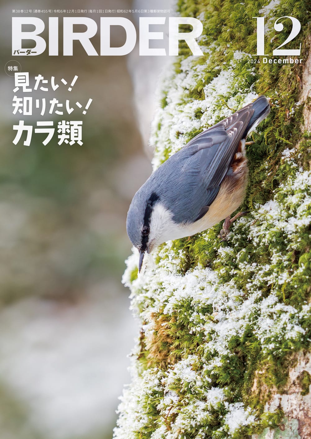 BIRDER(バーダー) 2024年12月号