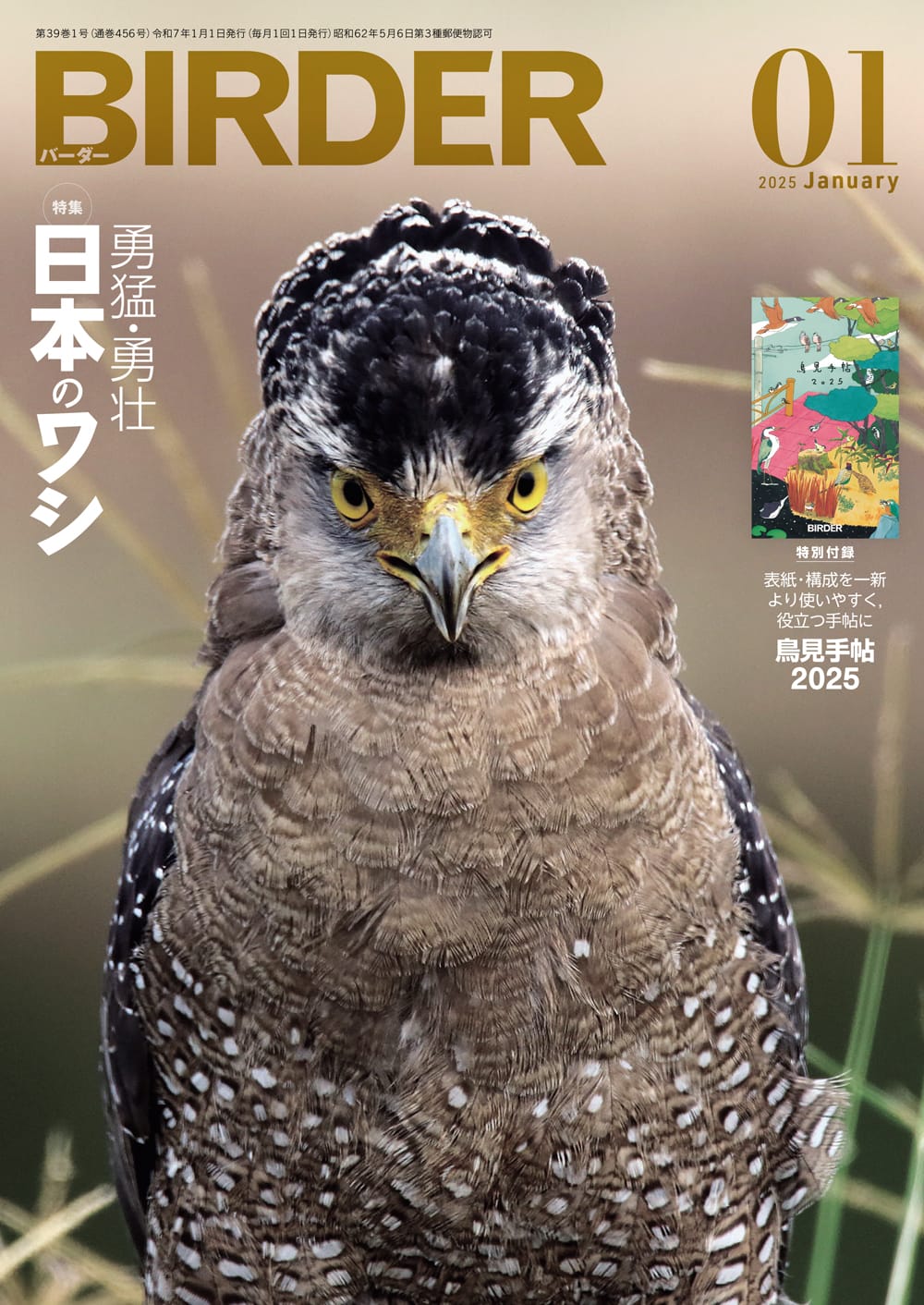 BIRDER(バーダー) 2025年1月号