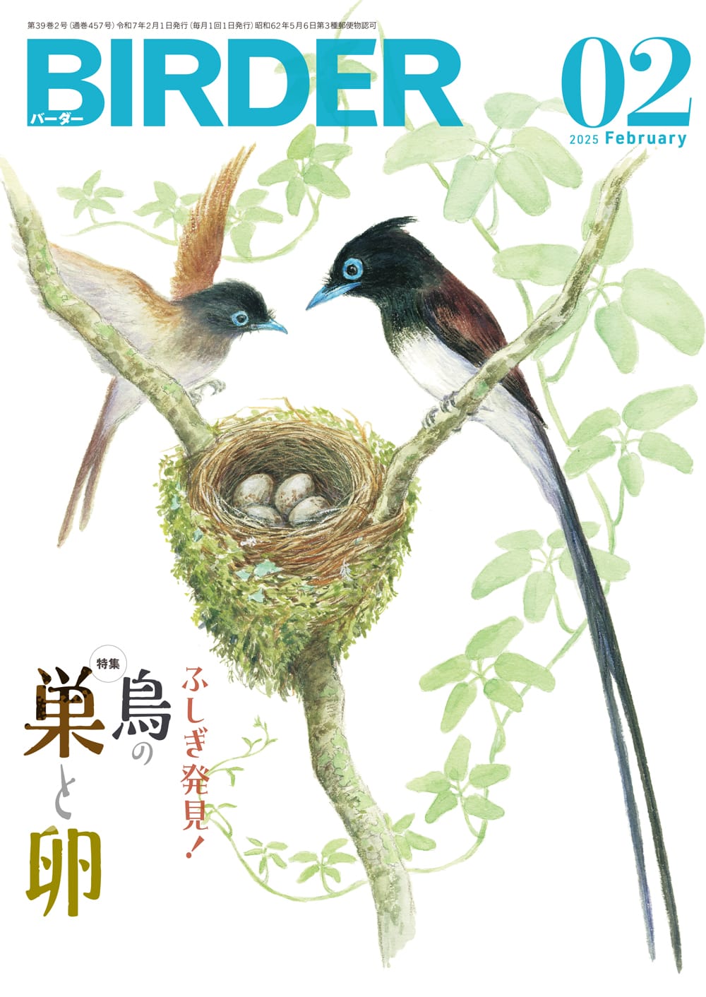 BIRDER(バーダー) 2025年2月号