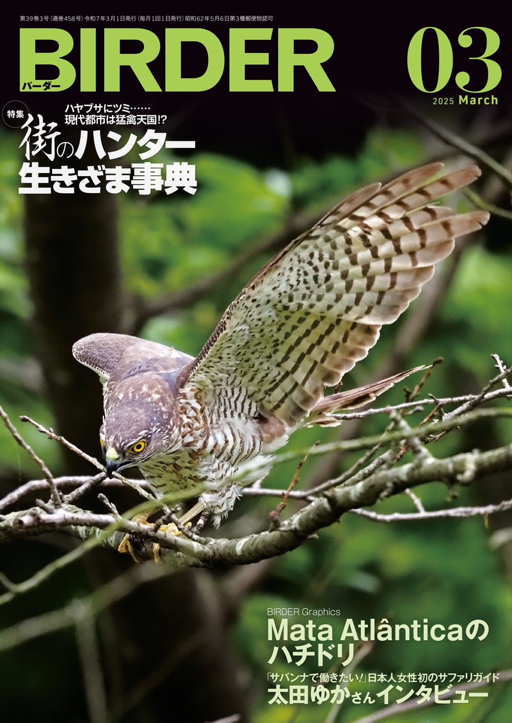BIRDER(バーダー) 2025年3月号