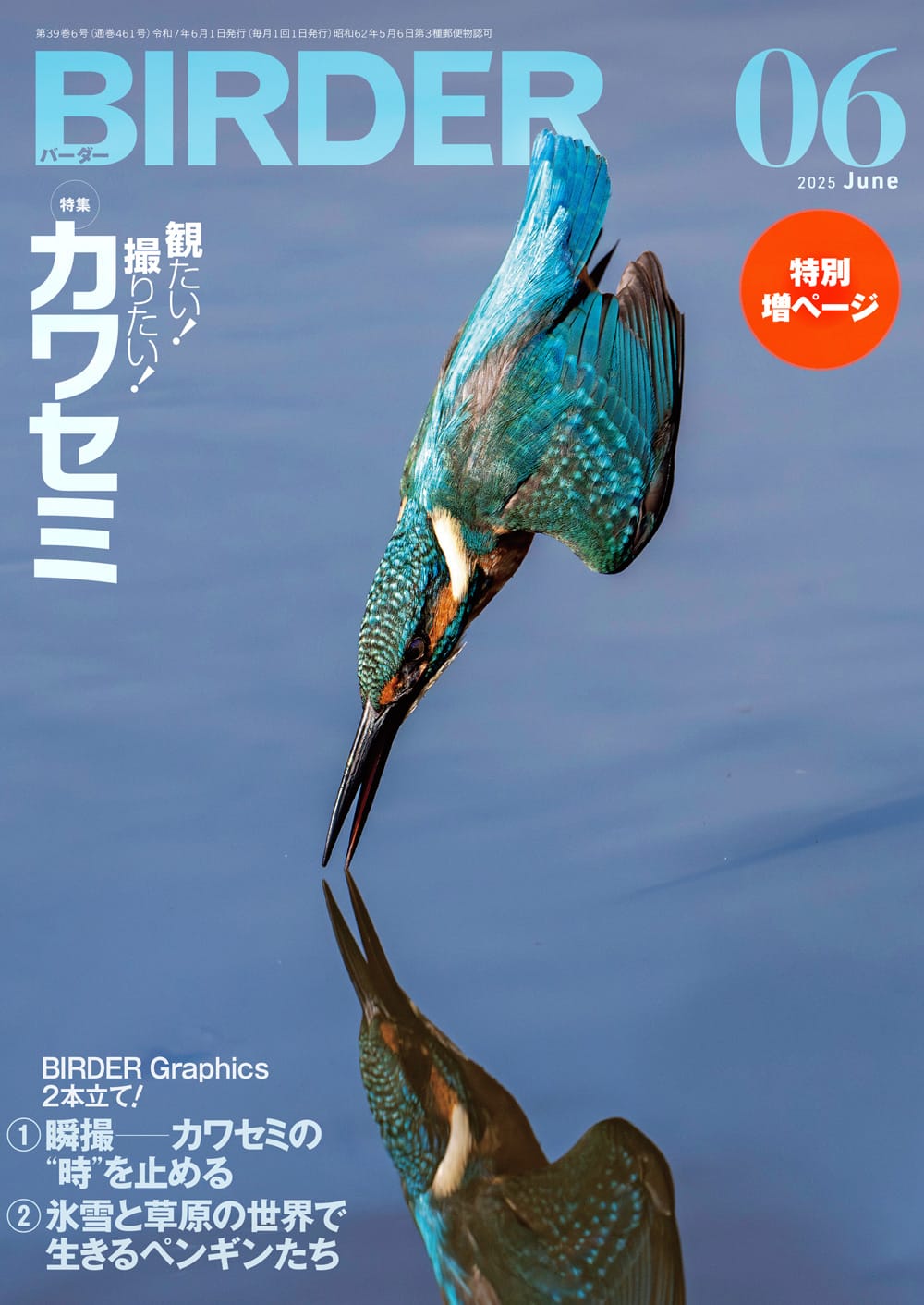 BIRDER(バーダー) 2025年6月号