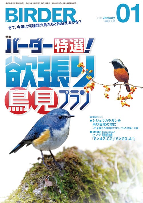 BIRDER(バーダー)2011年1月号