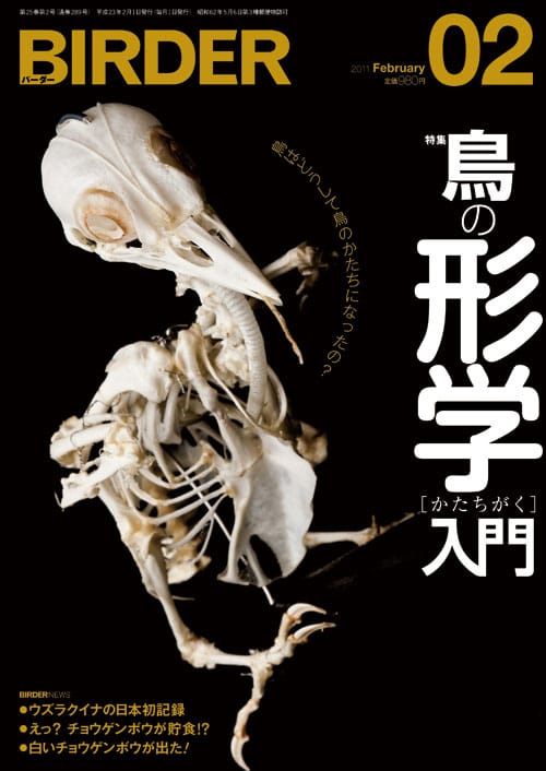 BIRDER(バーダー)2011年2月号