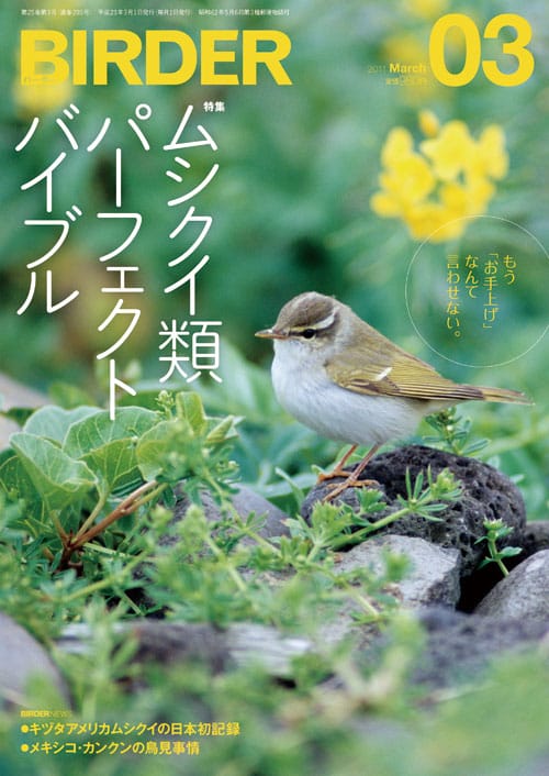BIRDER(バーダー)2011年3月号