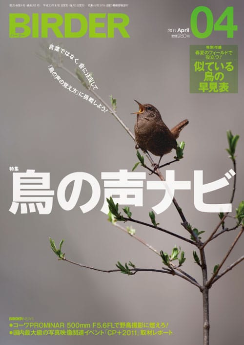 BIRDER(バーダー)2011年4月号