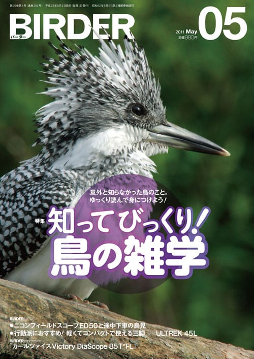 BIRDER(バーダー)2011年5月号