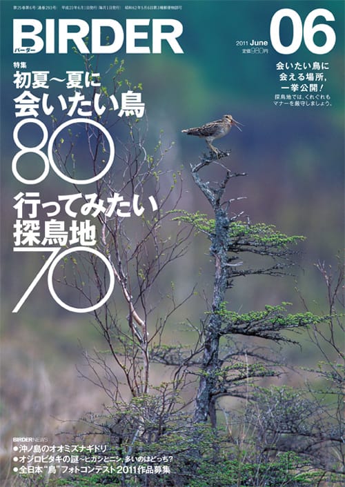BIRDER(バーダー)2011年6月号