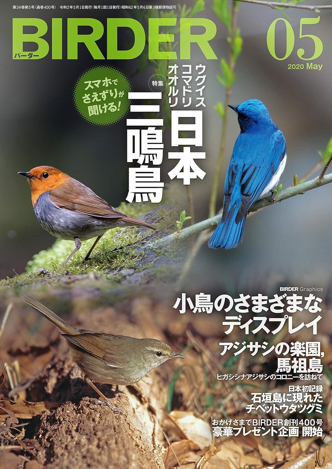 BIRDER(バーダー) 2020年5月号