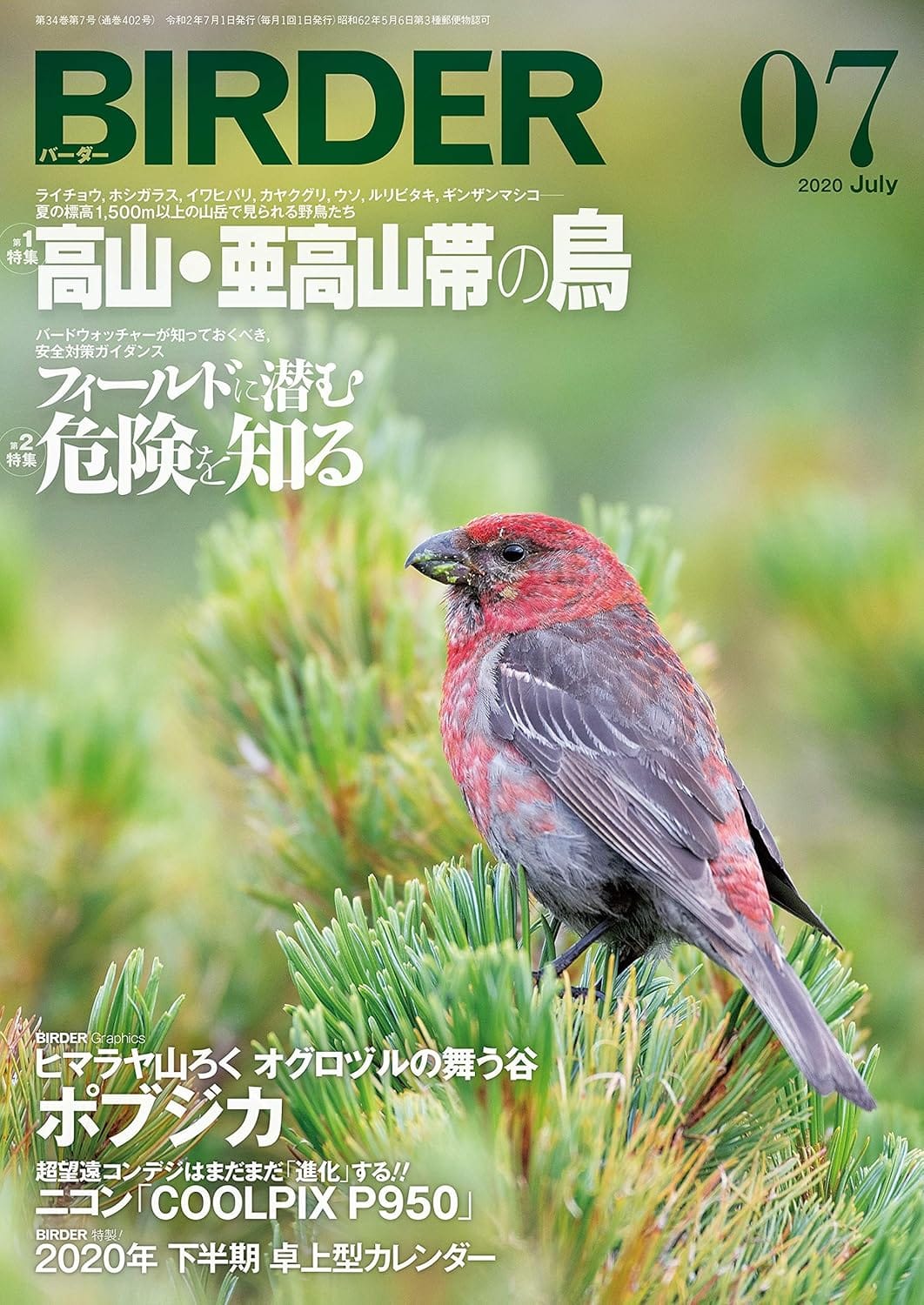 BIRDER(バーダー) 2020年7月号