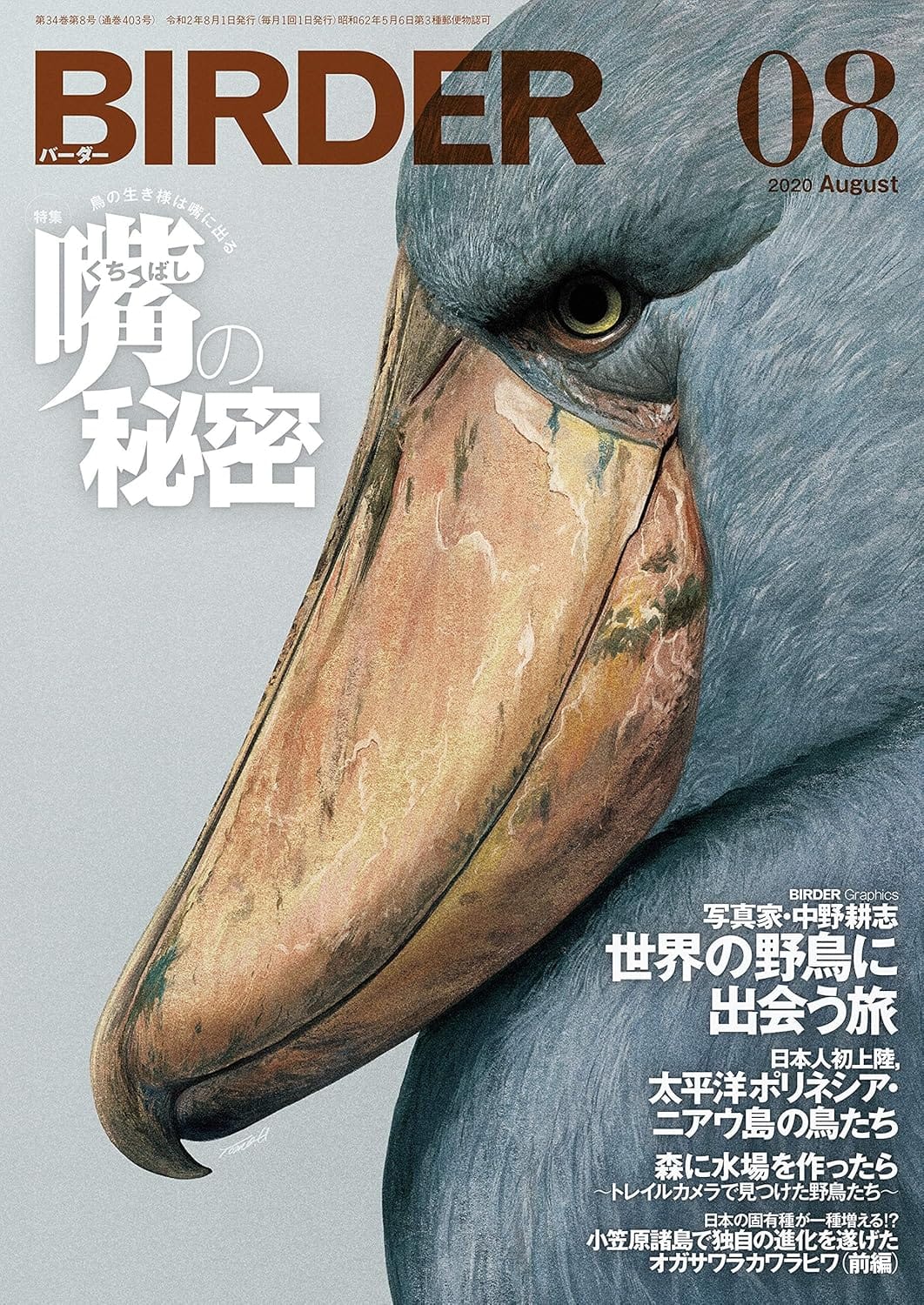 BIRDER(バーダー) 2020年8月号