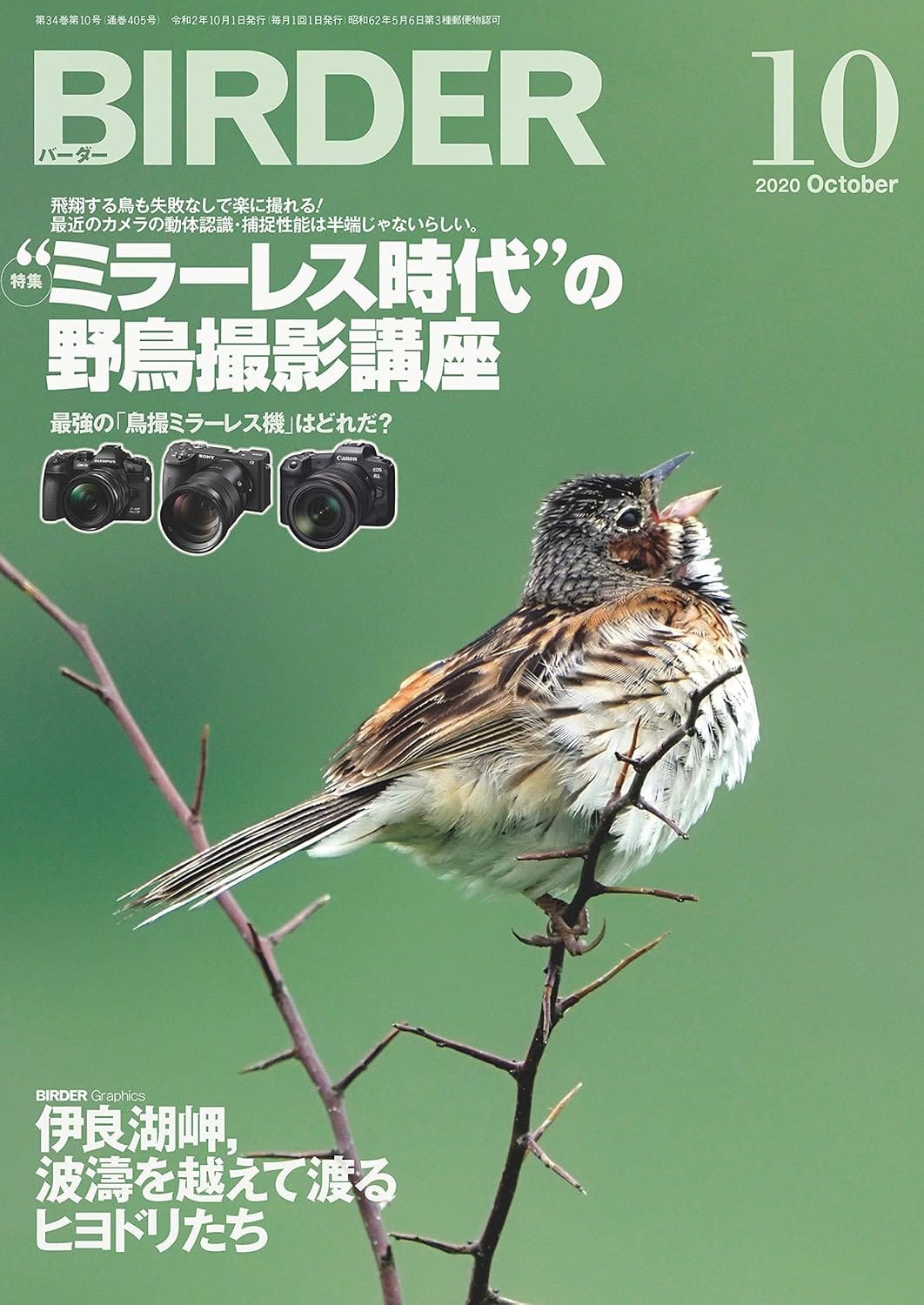 BIRDER(バーダー) 2020年10月号