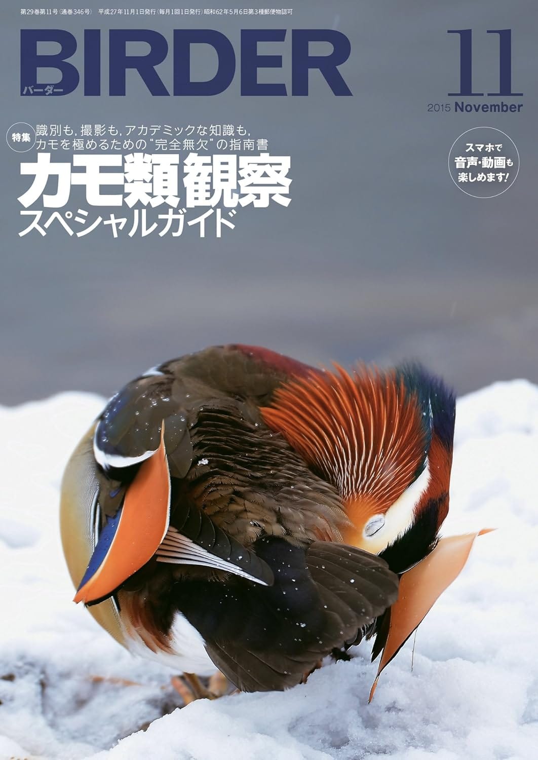 BIRDER（バーダー） 2015年11月号